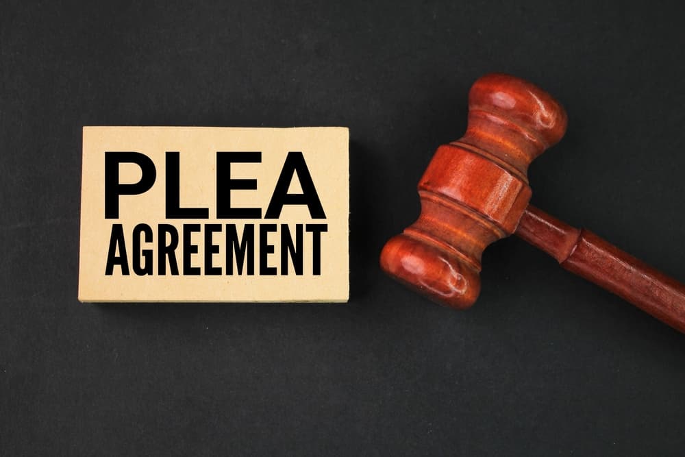 Judge's gavel and brown paper with the word plea agreement. Appellate court